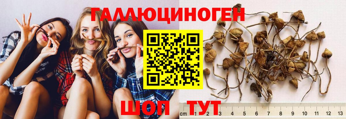 Галлюциногенные грибы ЛСД  Галлюциногенные грибы Cubensis  Вход с VPN  Менделеевск 